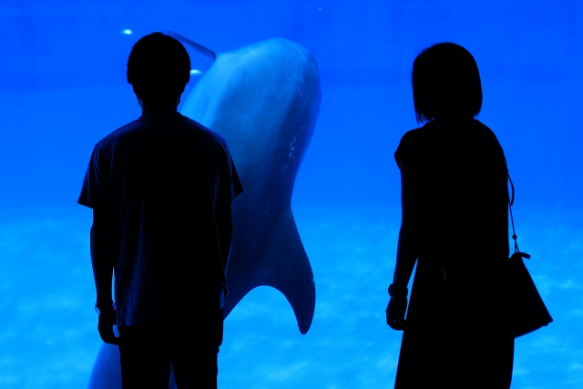 水族館カップル